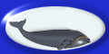 icon.gif (5274 bytes)